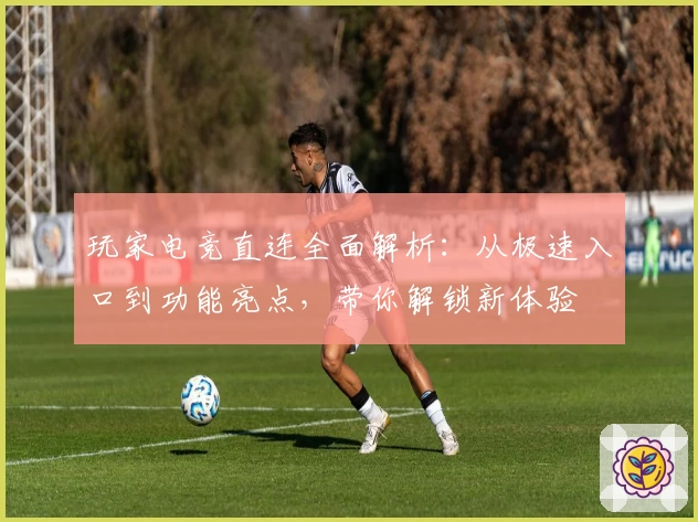 玩家电竞直连全面解析：从极速入口到功能亮点，带你解锁新体验