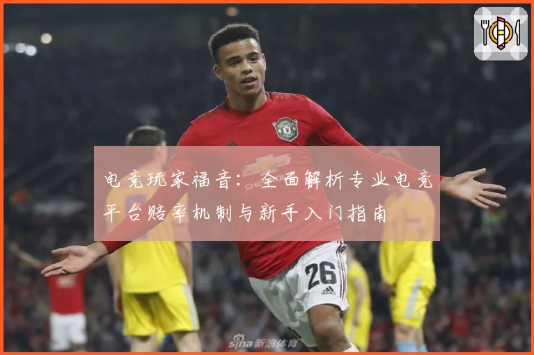 电竞玩家福音：全面解析专业电竞平台赔率机制与新手入门指南