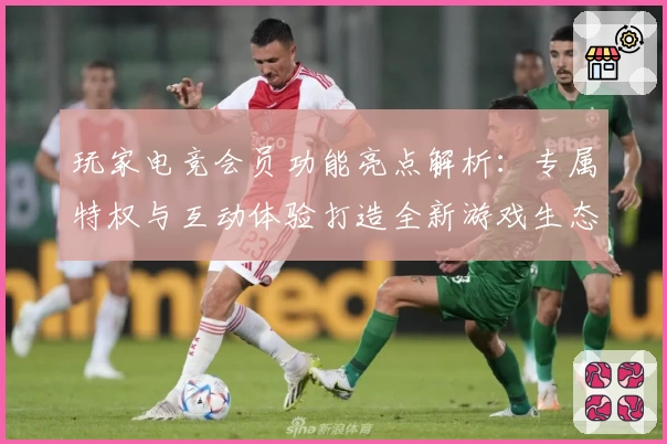玩家电竞会员功能亮点解析：专属特权与互动体验打造全新游戏生态