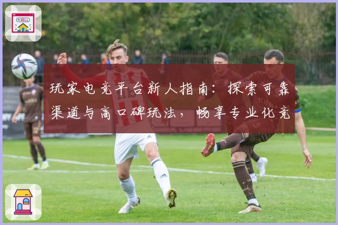 玩家电竞平台新人指南：探索可靠渠道与高口碑玩法，畅享专业化竞技体验